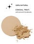 Flawless Matte Foundation 100% natural to conceal, treat and prevent breakouts